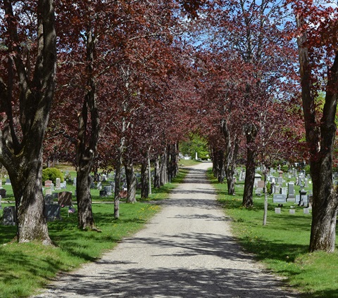 Maple-Grove-Cemetery.jpg