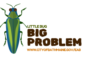 Illustration of an Emerald Ash Borer and the Tagline 