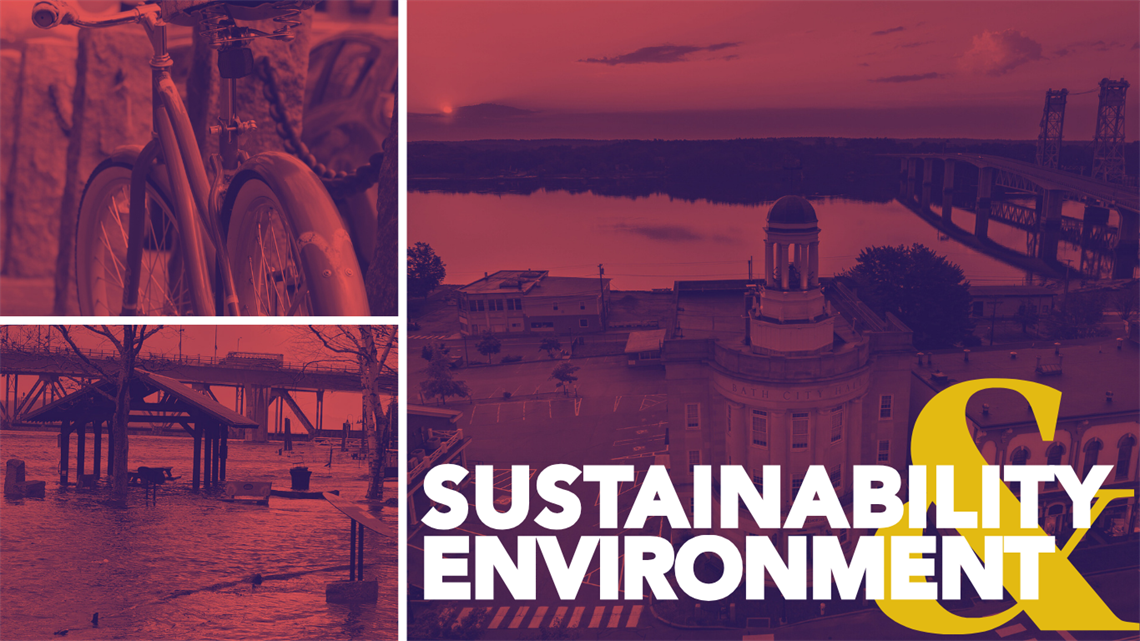 Sustainability & Environment Web Header.png